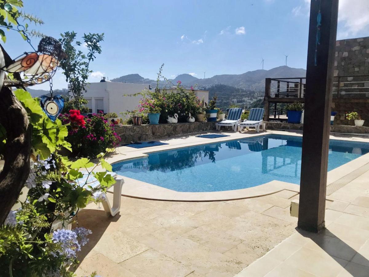 Villa Priene - Gumusluk Private Pool 외부 사진